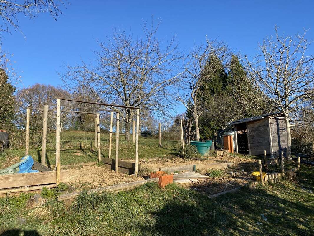 jardin potager - Maison à LA CROISILLE-SUR-BRIANCE
