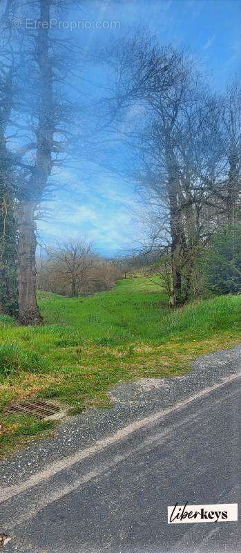 Terrain à MONTFA