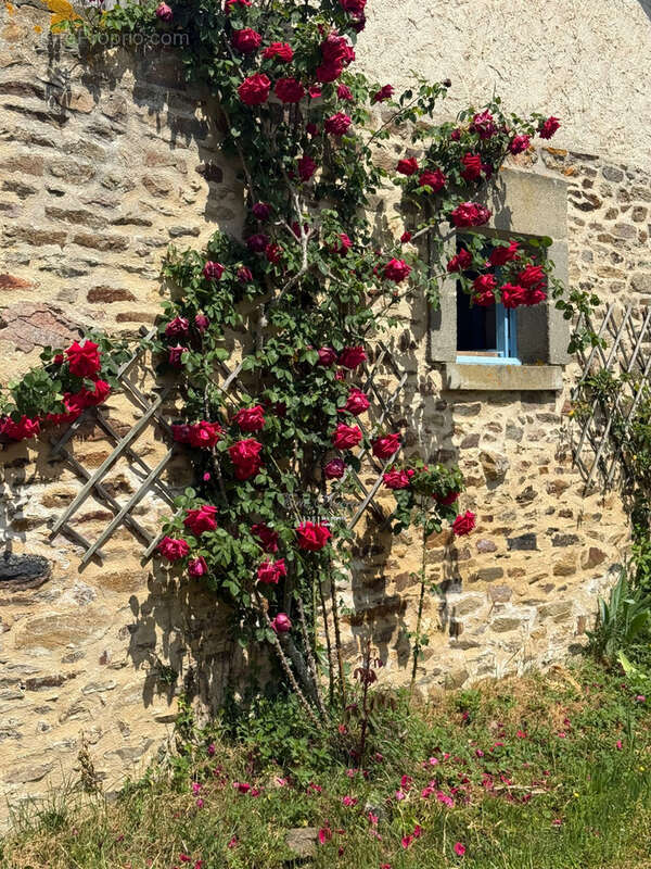 Maison à LA COQUILLE