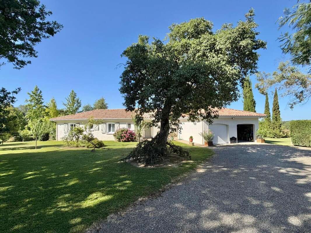 Photo 4 - Maison à CAZAUBON