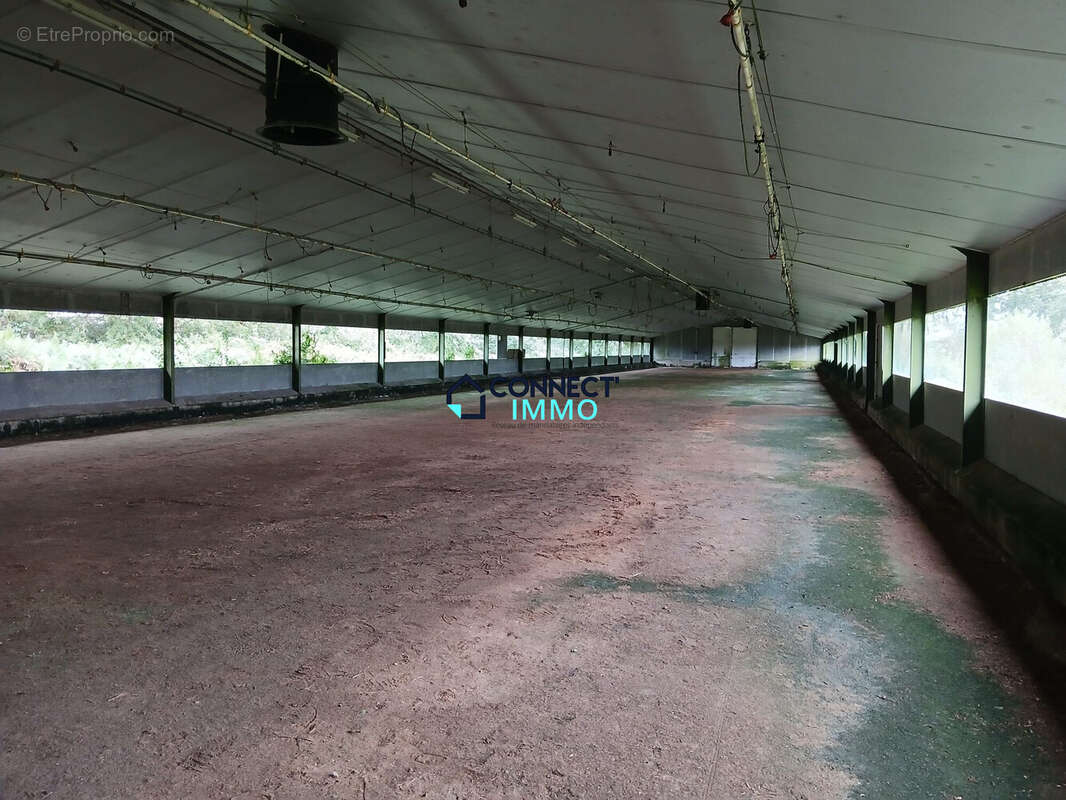Commerce 1000 m² à Plevin  - photo 5
