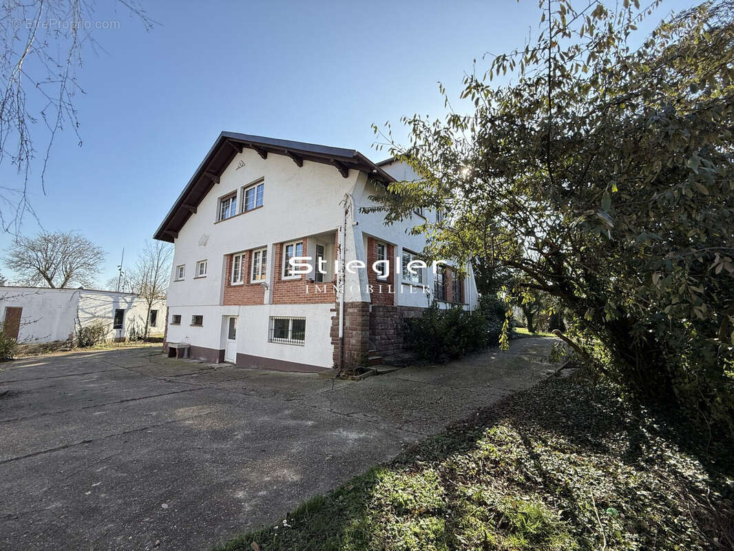 Vue extérieure - Maison à DUPPIGHEIM