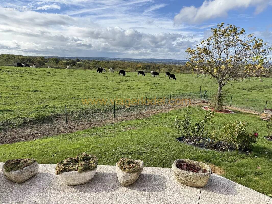 Maison à NERIS-LES-BAINS