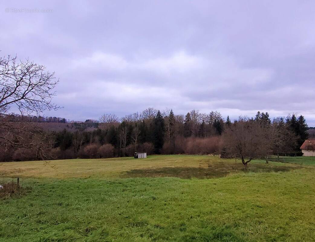 Terrain à MOYENMOUTIER
