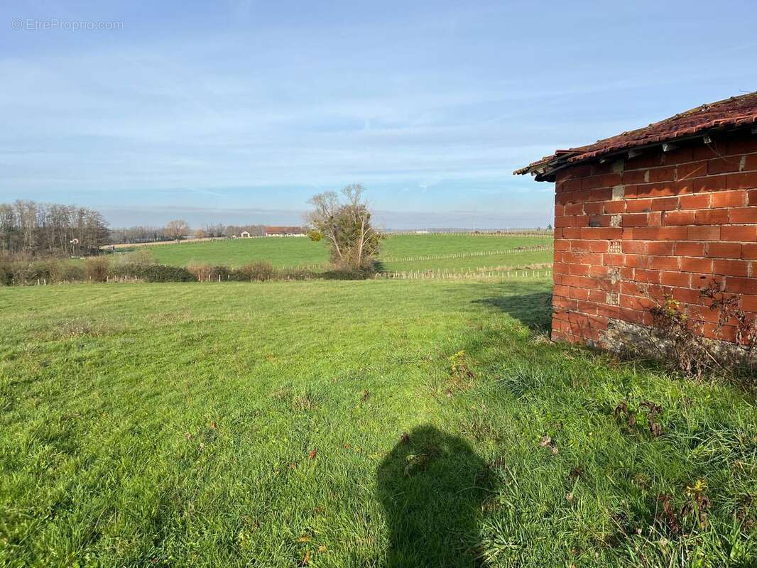 Photo 2 - Terrain à MOUTHIER-EN-BRESSE