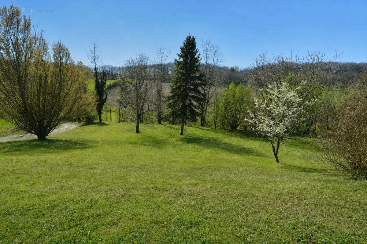 Maison spacieuse avec appartement à Pont-du-Casse - photo 19