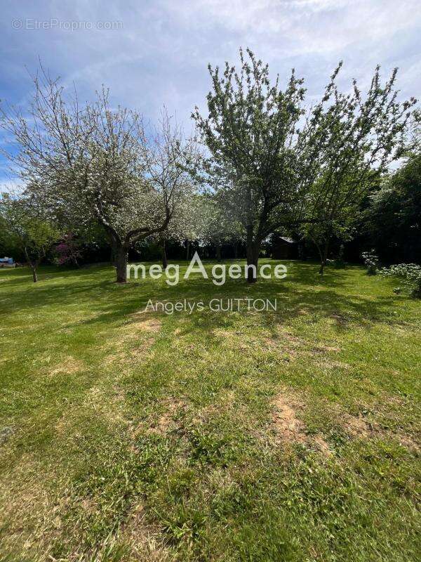 Maison à BEAUMONT-SUR-SARTHE