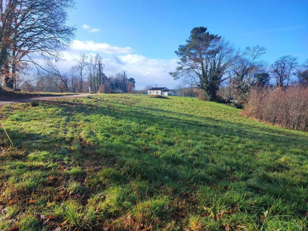 Photo 1 - Terrain à CAMPSEGRET