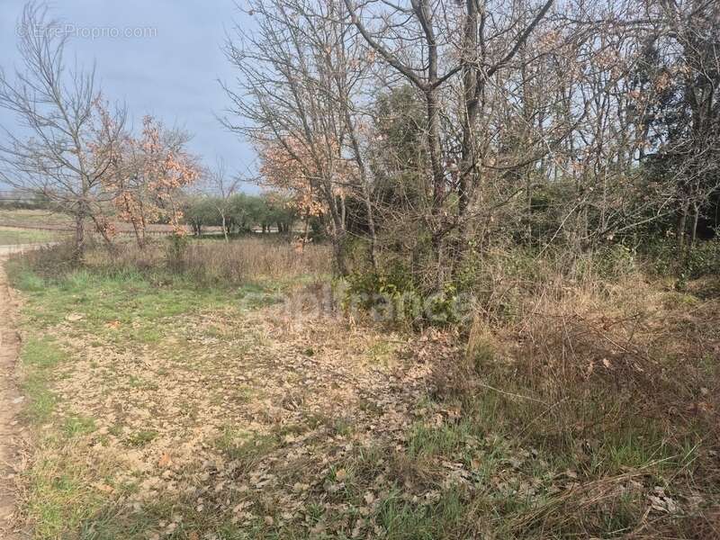 Terrain à VEZENOBRES