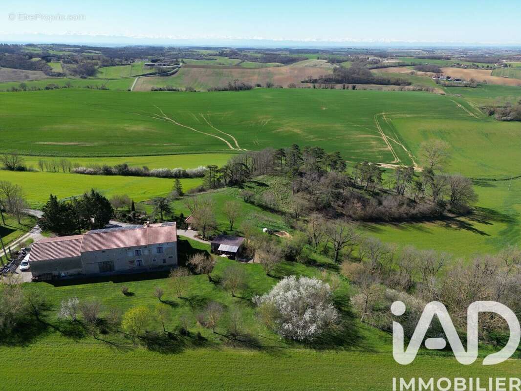 Photo 4 - Maison à SAINT-FELIX-LAURAGAIS