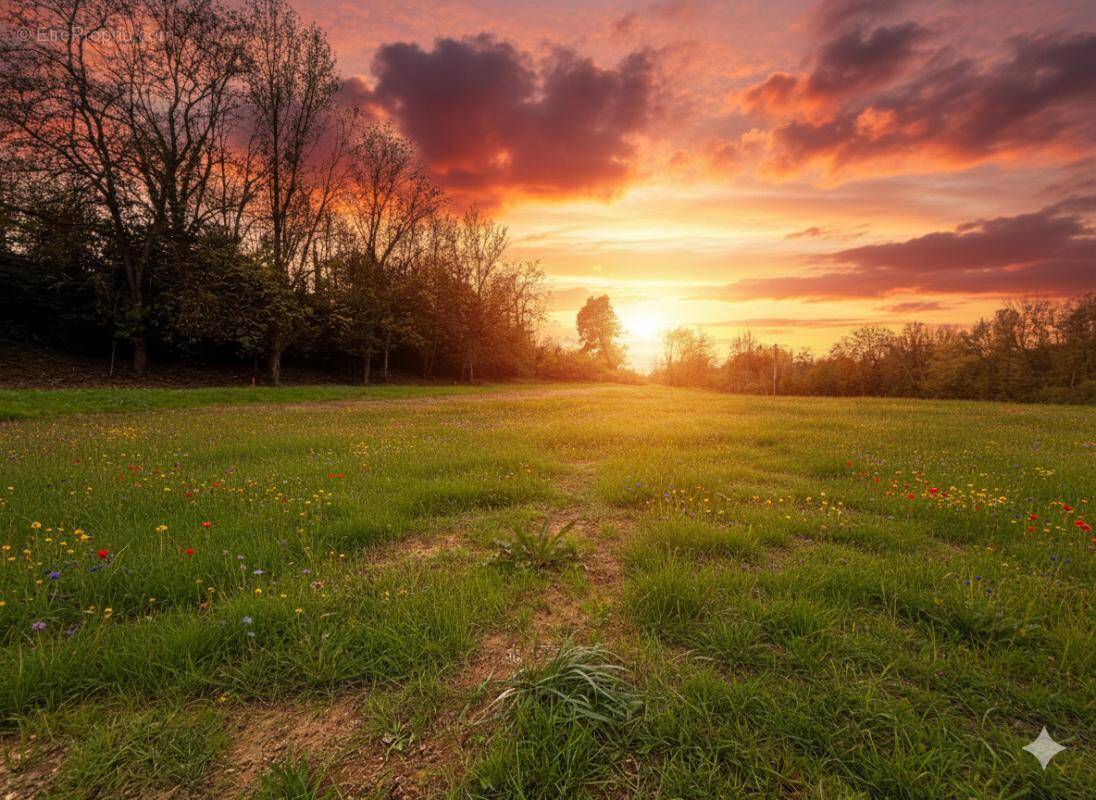 Terrain à BOURG