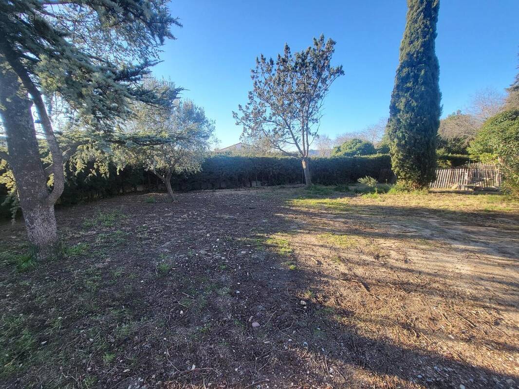 Terrain à SAINT-FELIX-DE-LODEZ