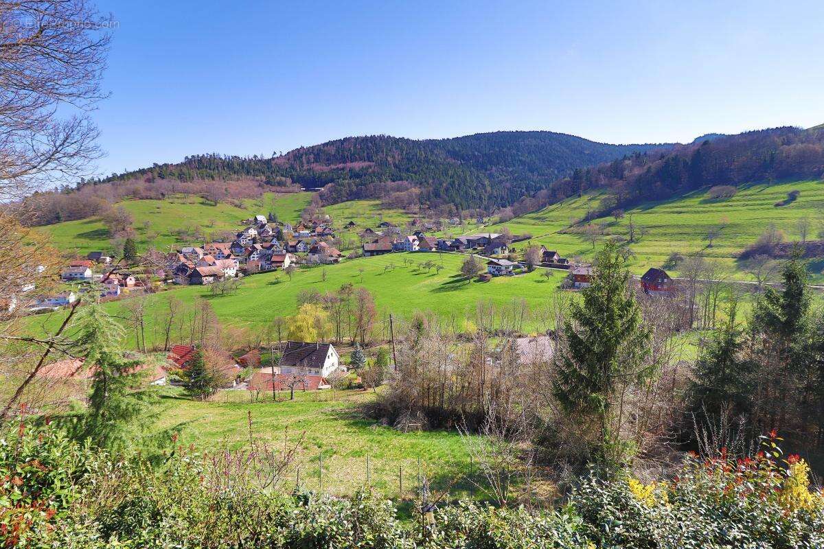 Maison à BREITENBACH-HAUT-RHIN