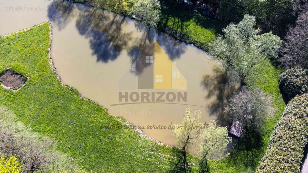 Terrain à SAILLENARD