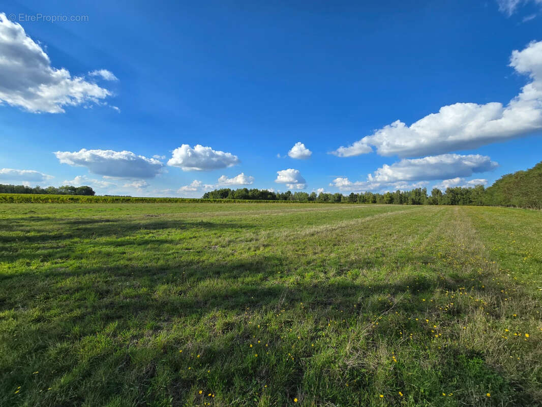 Terrain à FONTGUENAND