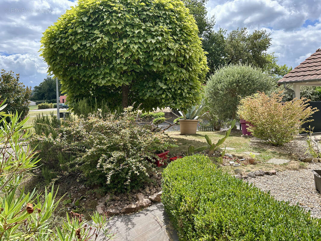 Maison à SAINT-PANTALEON-DE-LARCHE