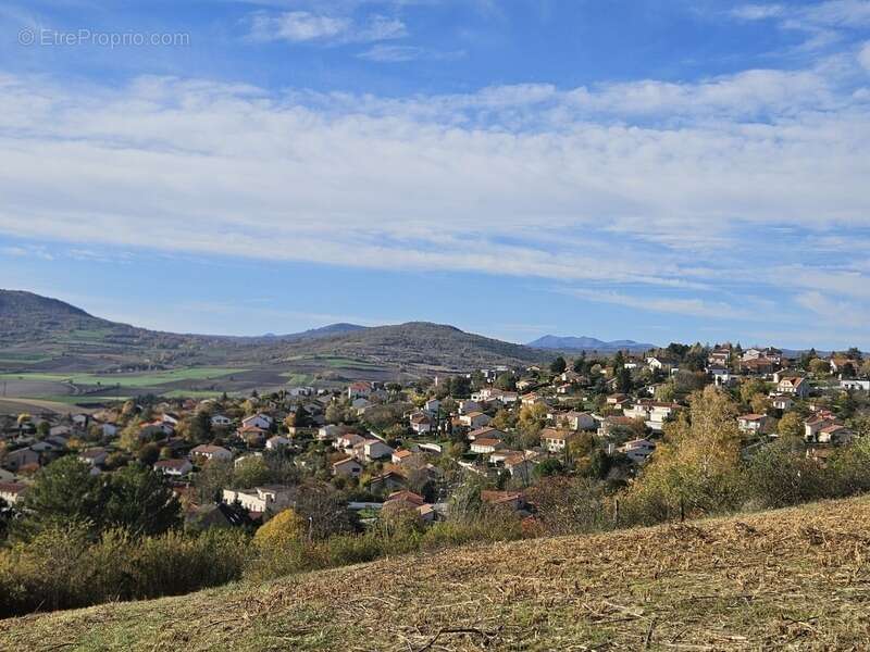 Terrain à VEYRE-MONTON