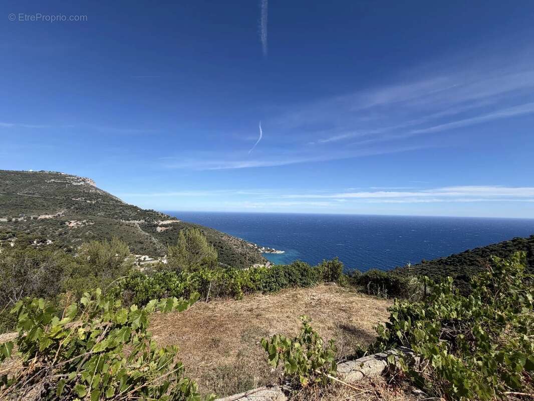 Terrain à EZE
