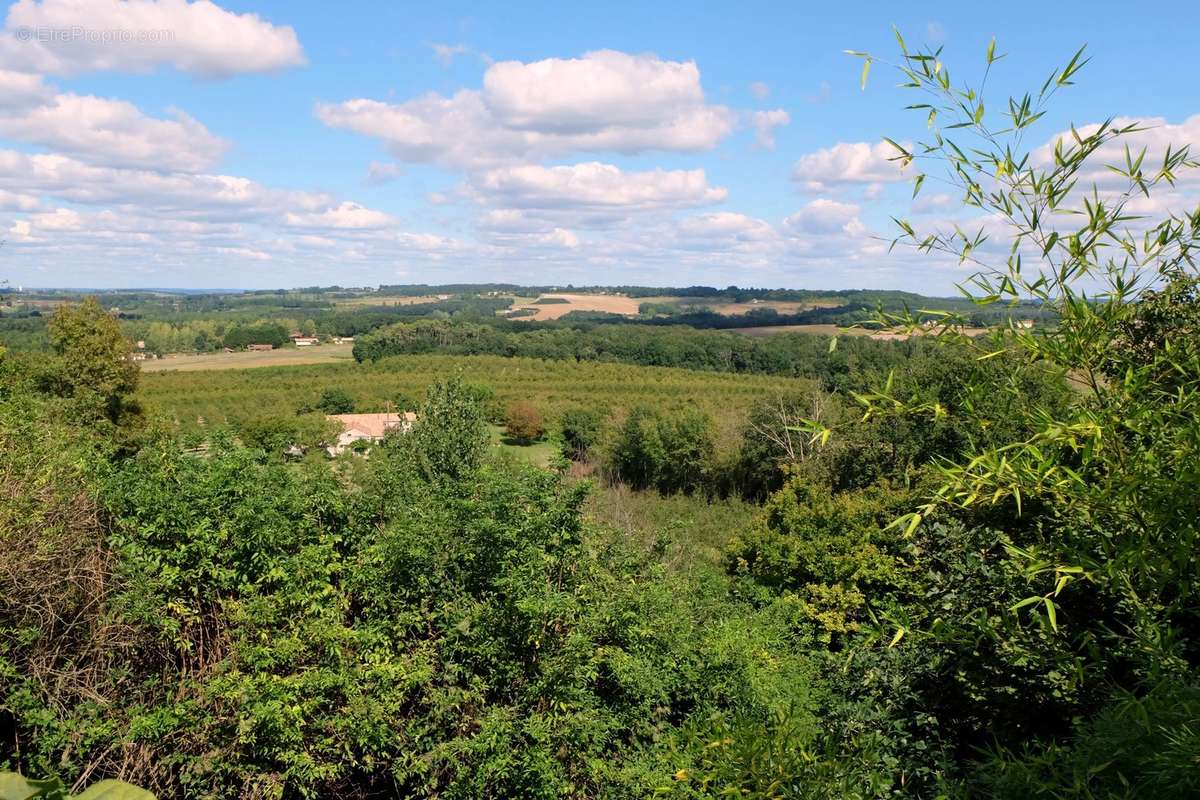 Maison à VILLENEUVE-DE-DURAS