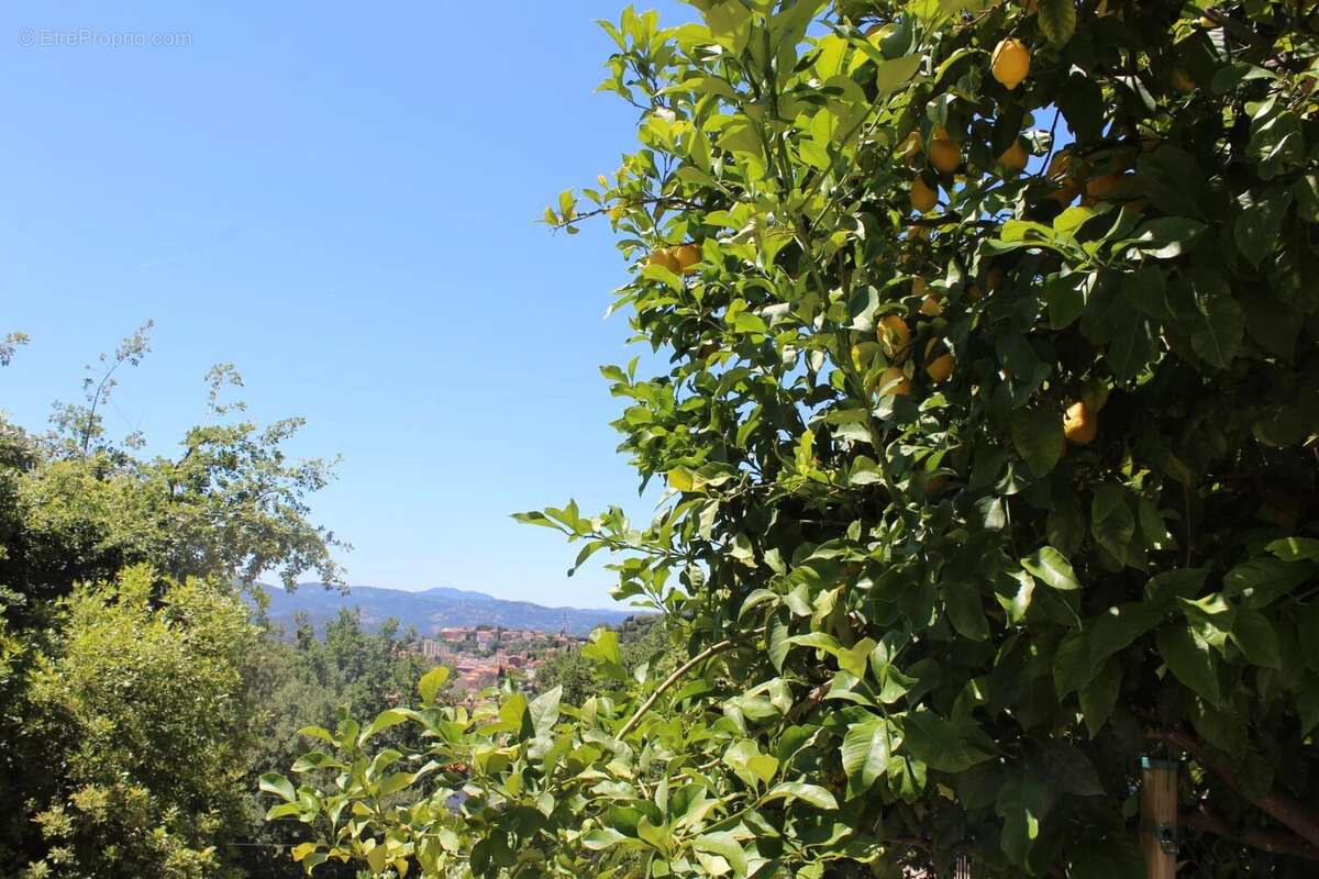 GRASSE, Belle Villa 5 P, position dominante - photo 6