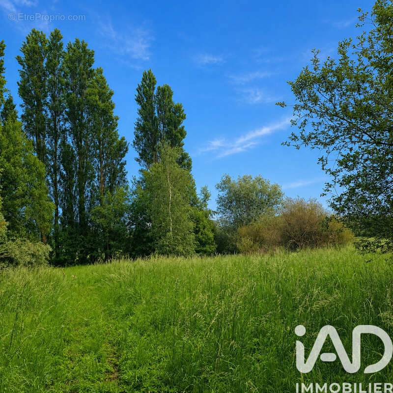 Photo 2 - Terrain à COULOGNE