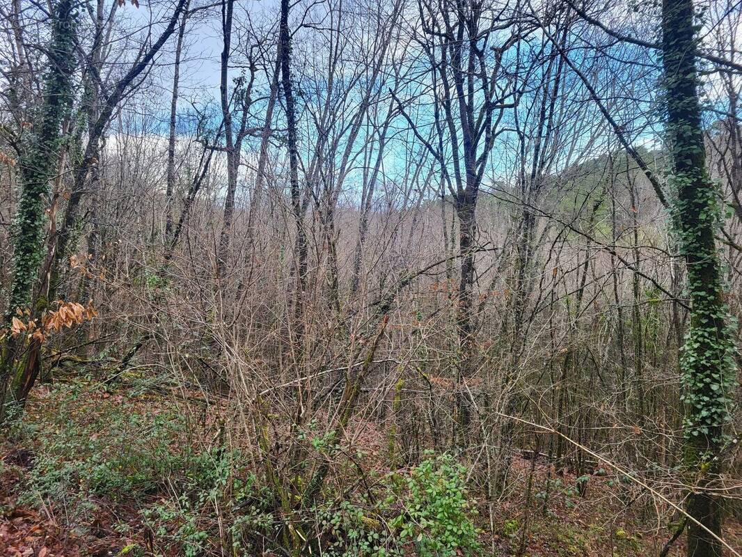 20250108094309 - Terrain à PERIGUEUX