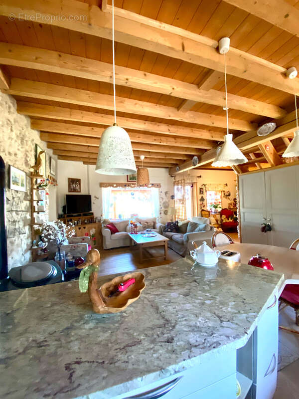 Maison à CREUZIER-LE-VIEUX