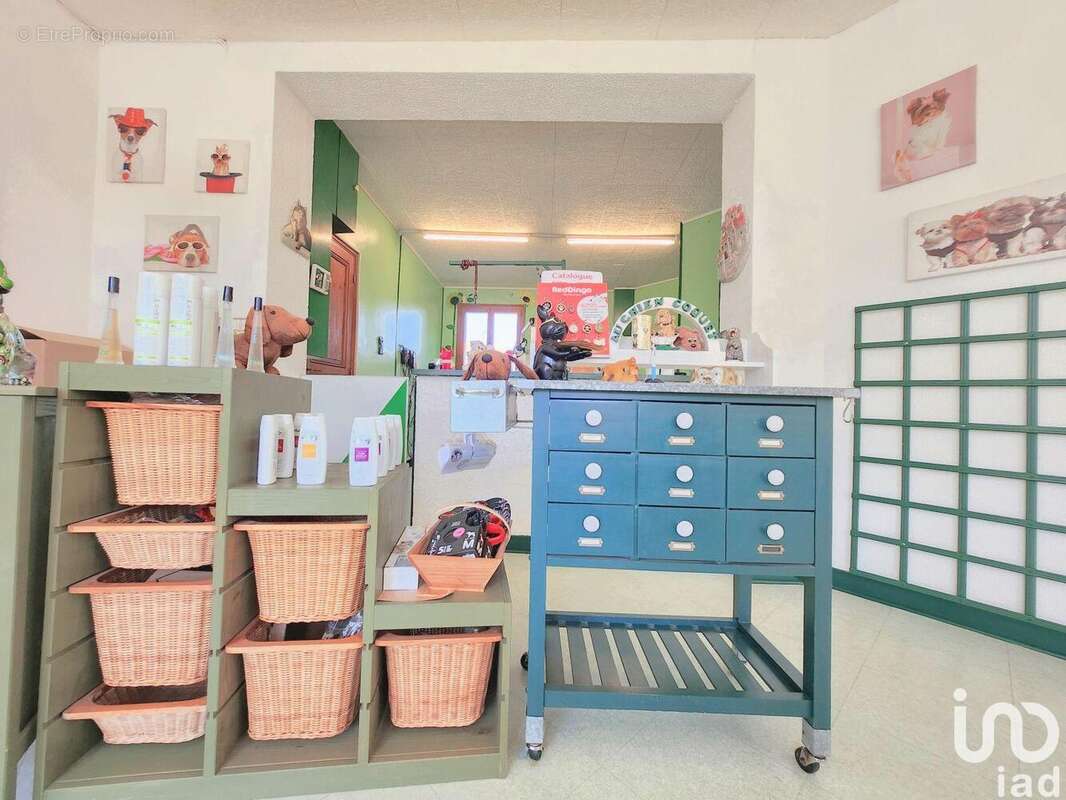 Photo 6 - Commerce à CONFLANS-SAINTE-HONORINE