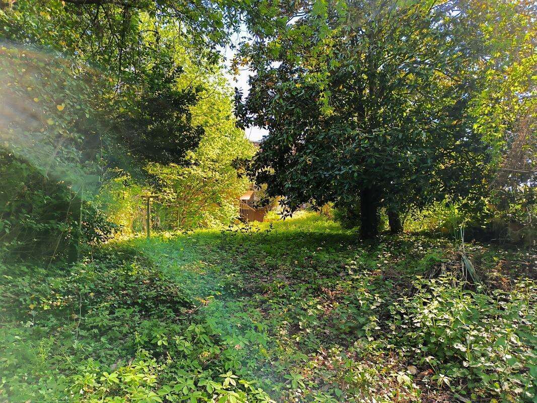 A SAISIR : Bien rare à fort potentiel ! - photo 54