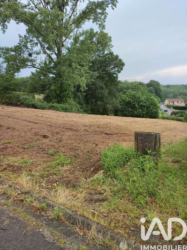 Photo 5 - Terrain à SAINT-VICTURNIEN
