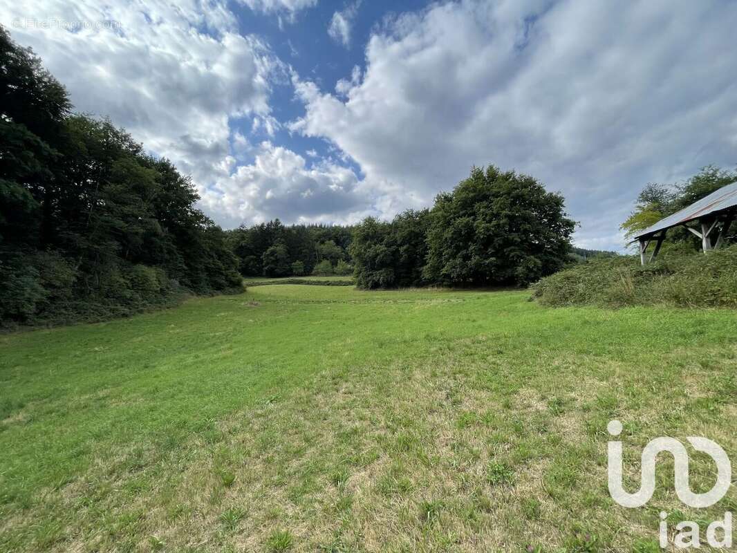 Photo 6 - Maison à NEDDE