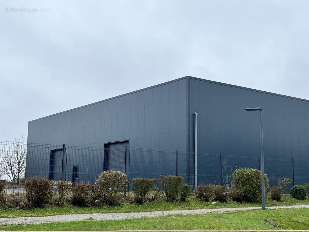 Entrepot à Usage De Stockage Ou Activites à Louer Ou à Vendre - photo 5