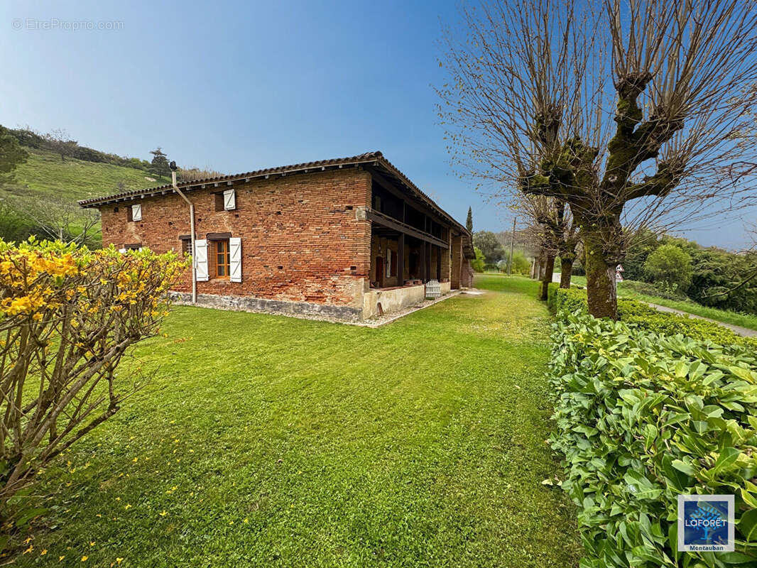 Maison à MONTASTRUC