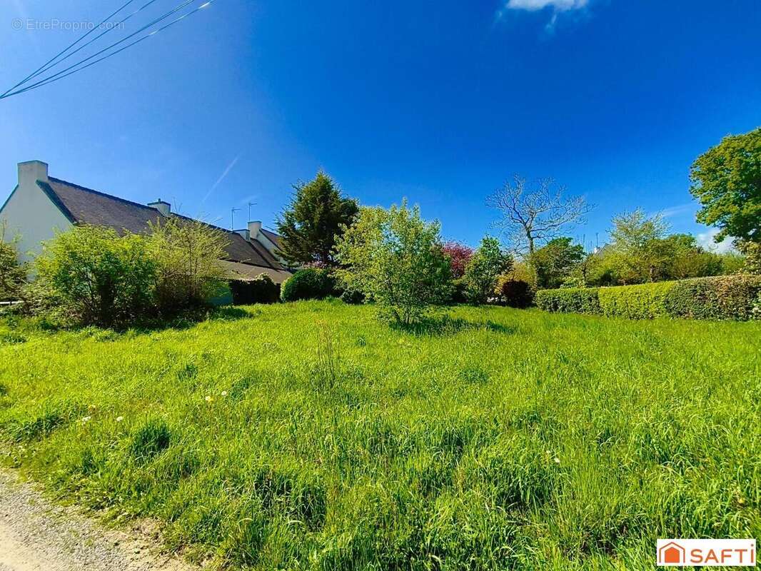 Photo 2 - Maison à MOELAN-SUR-MER