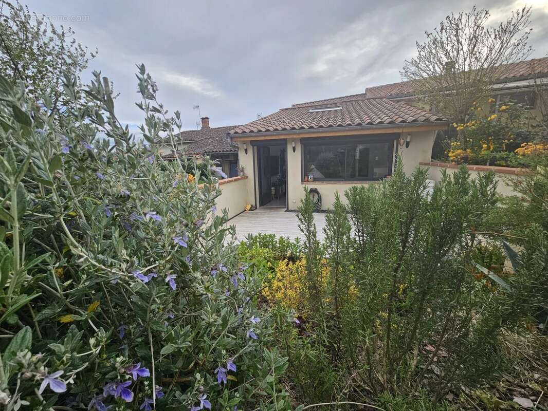 Maison à SAMATAN