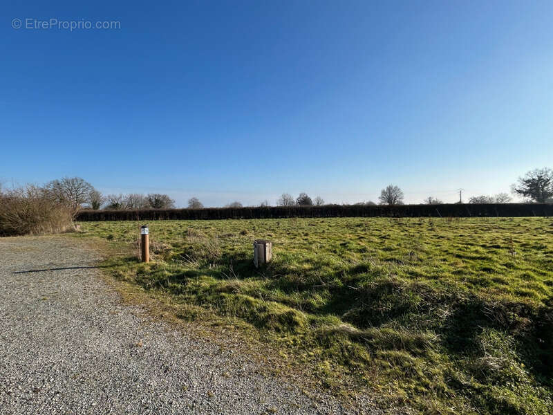 Terrain a vendre 587 m² en éco-lotissement !! - photo 5