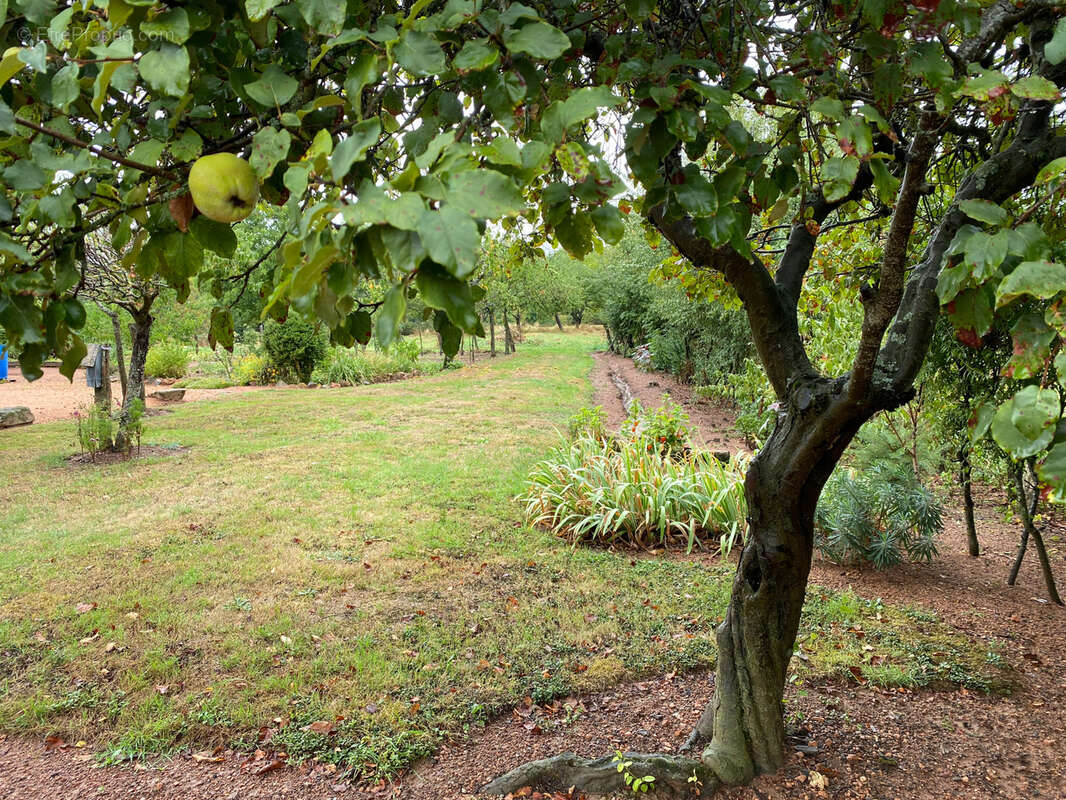 Maison à SAINT-CHRISTOPHE