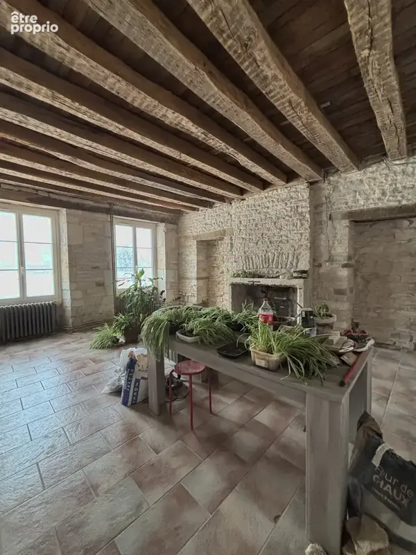Belle demeure de 1900 proche de CHATILLON SUR SEINE(21) de 300 m2 avec terrain et dépendances. - photo 9