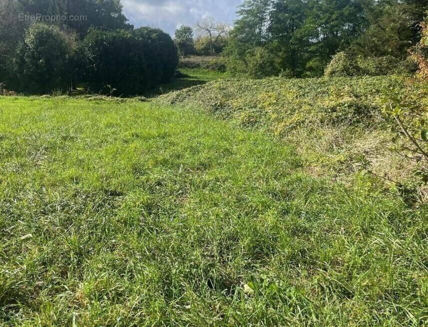 Terrain à LA ROCHELLE