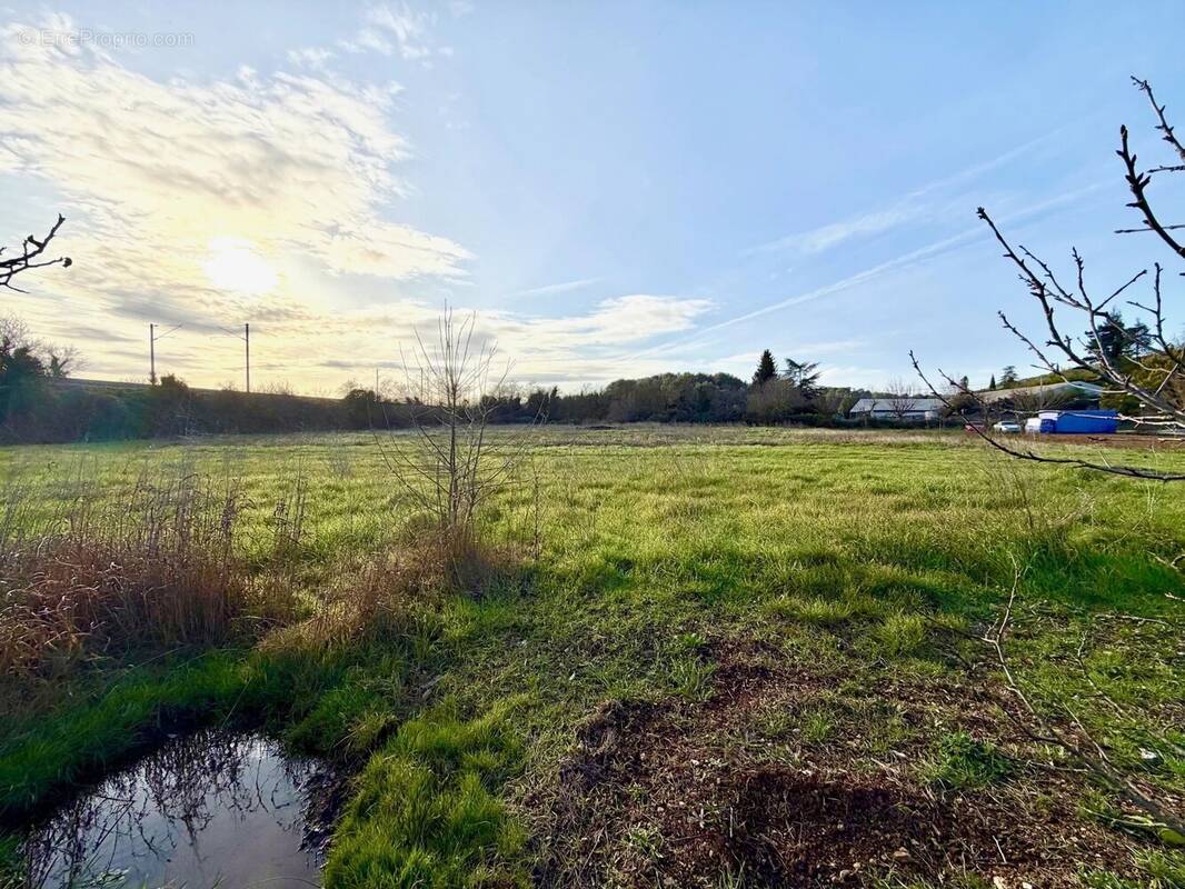 Terrain à CARNOULES