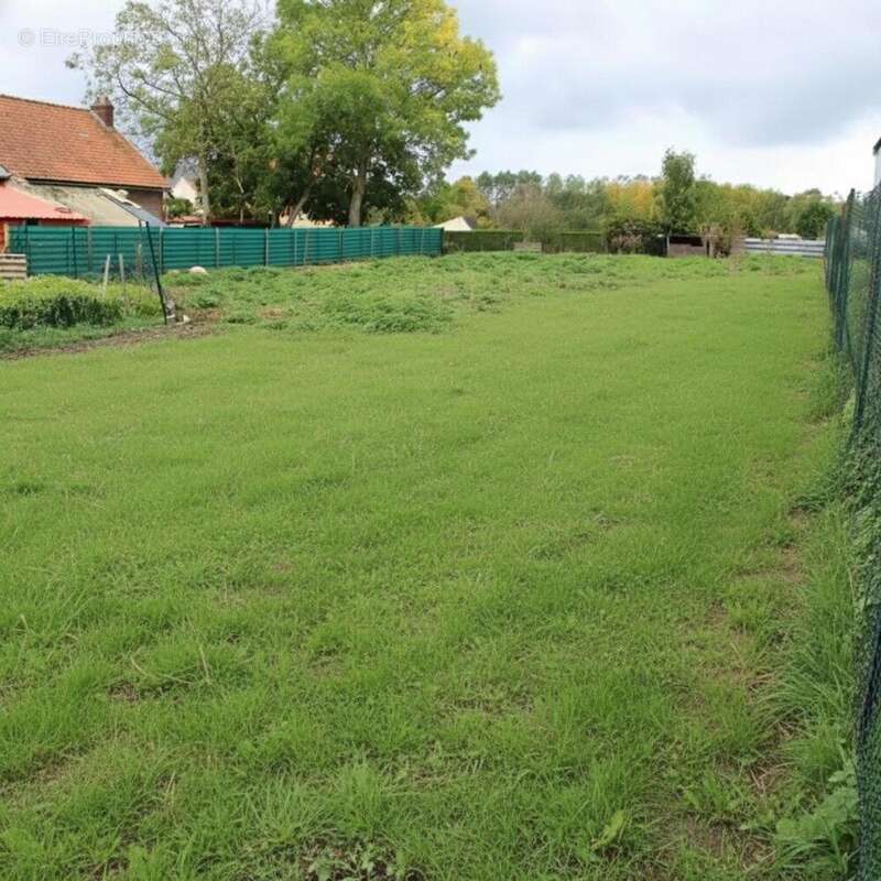 Photo 2 - Terrain à VERSIGNY