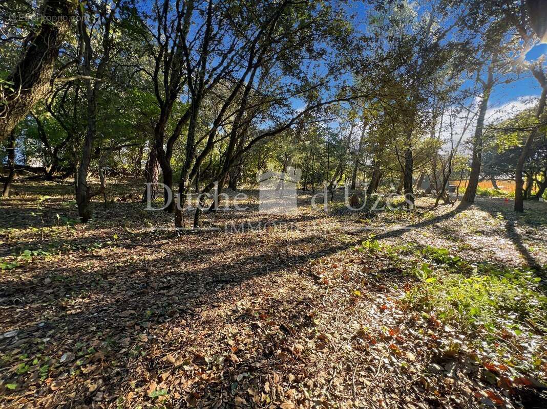 Photo 3 - Terrain à UZES