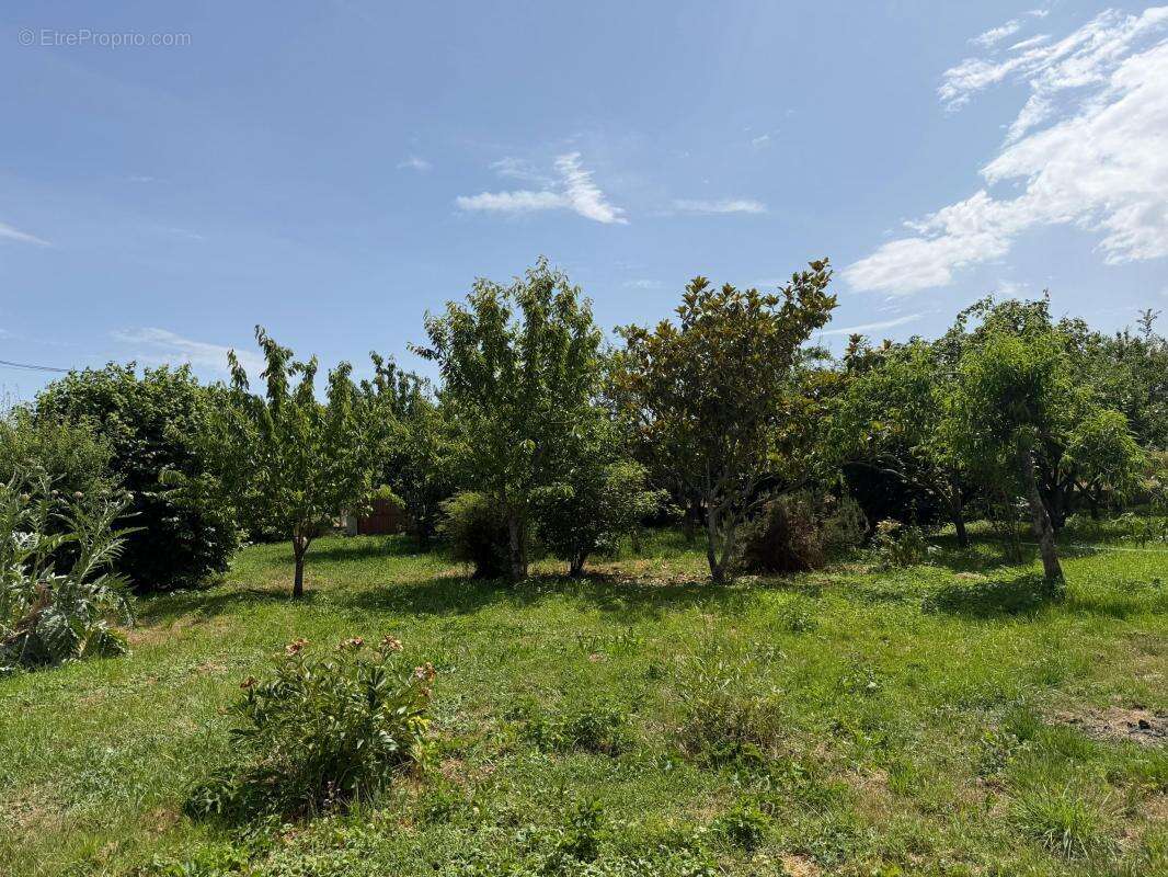 Terrain à SAINT-LUBIN-DE-LA-HAYE