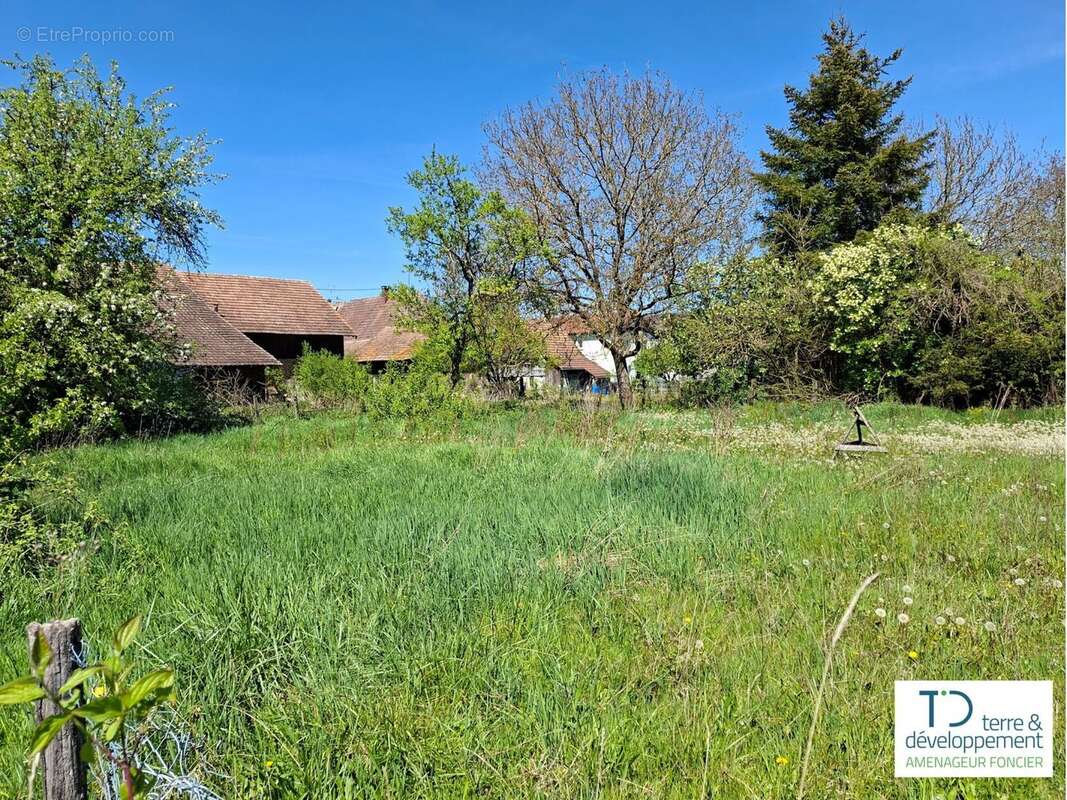 Terrain de 320 m² à steinbrunn-le-haut (haut-rhin) - photo 3