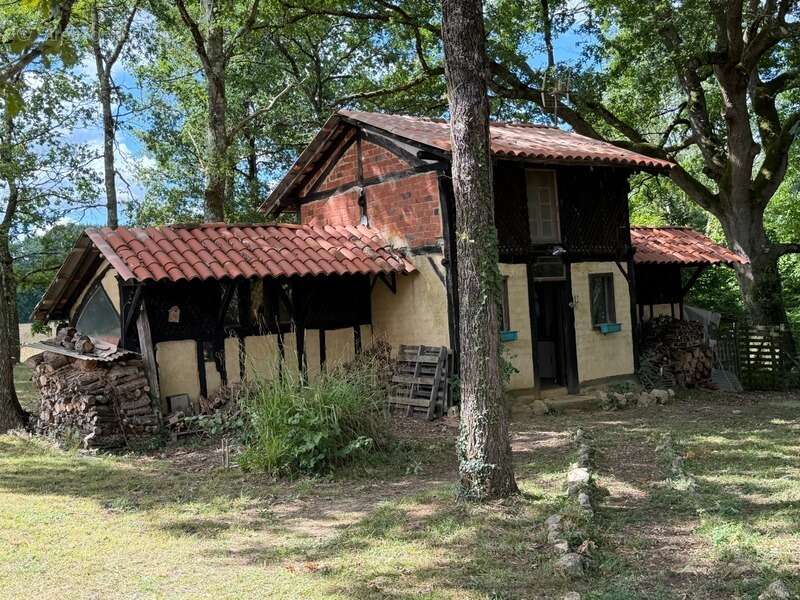 Domaine plein de charme de 250M2 avec dépendances, gîtes dans un écrin de verdure Proche de MONT DE MARSAN au HOUGA - photo 10