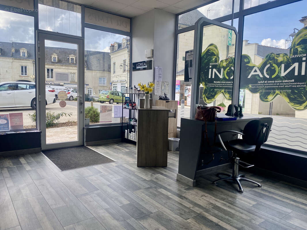 Autre à CHOUZE-SUR-LOIRE