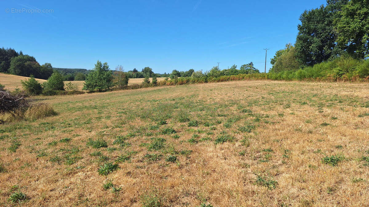 Plain-pied de 2011 - photo 17