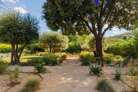 Maison à PLAN-DE-LA-TOUR