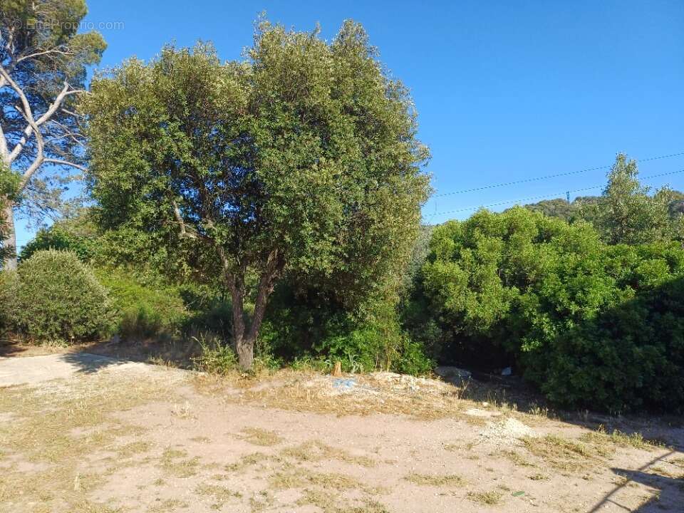 Terrain 428 m² à Pierrefeu-Du-Var  - photo 3