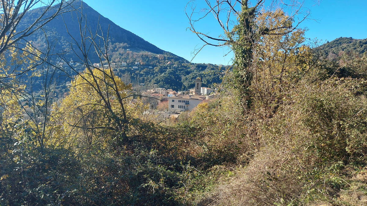 Terrain à VICO